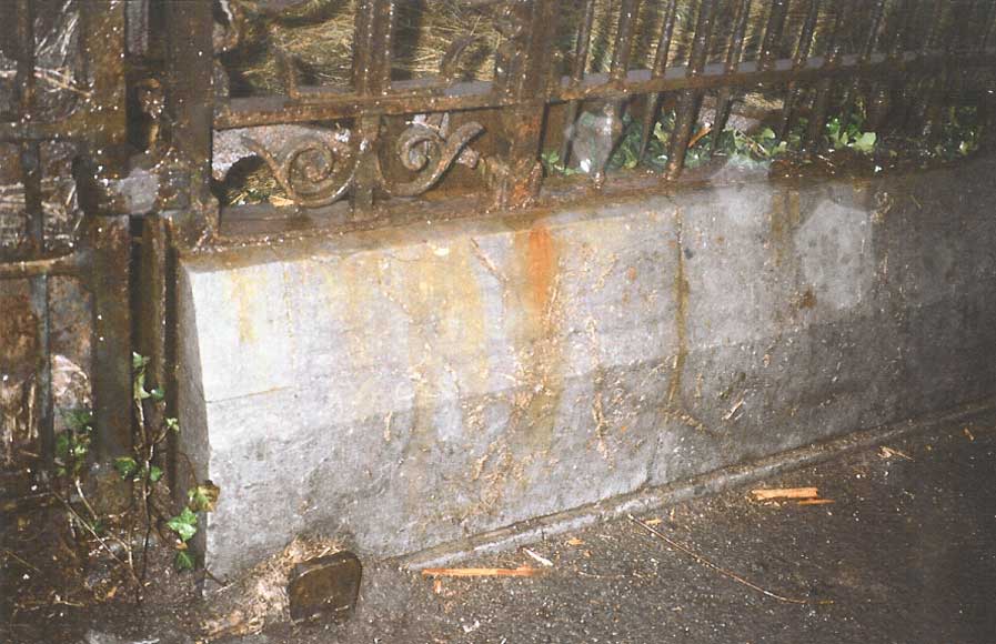 Main gate with 100 linear feet of railing Main gate with 100 linear feet of railing-3