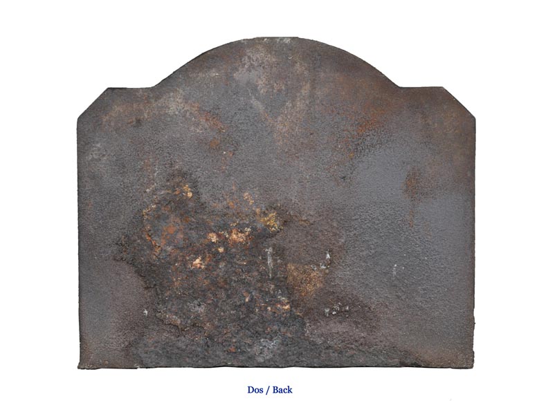 Cast iron fireback with the Salamander of King Francis Ist Cast iron fireback with the Salamander of King Francis Ist-4