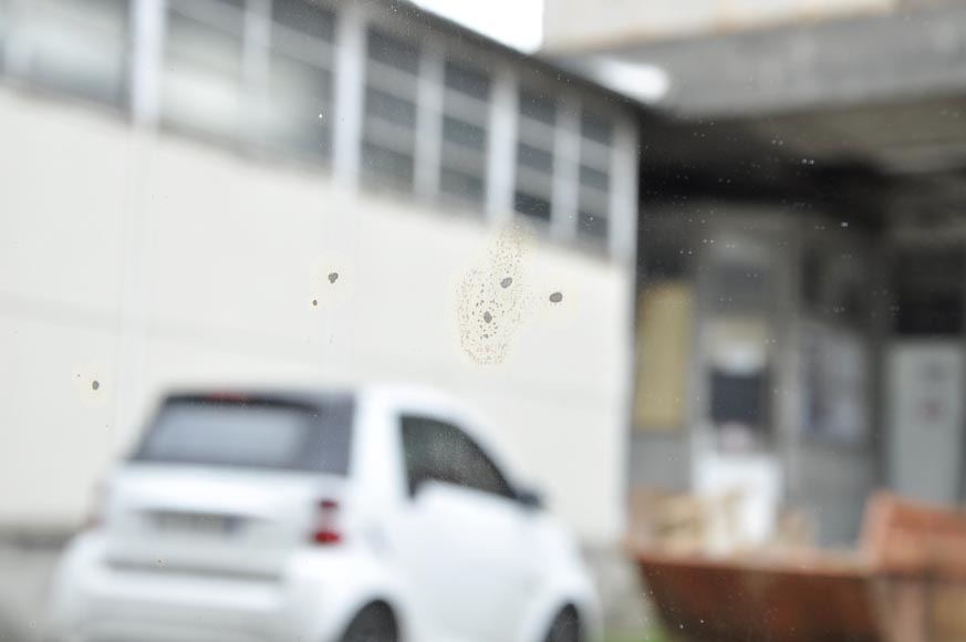 Antique Louis XVI style overmantel mirror with laurel branches frieze Antique Louis XVI style overmantel mirror with laurel branches frieze-4