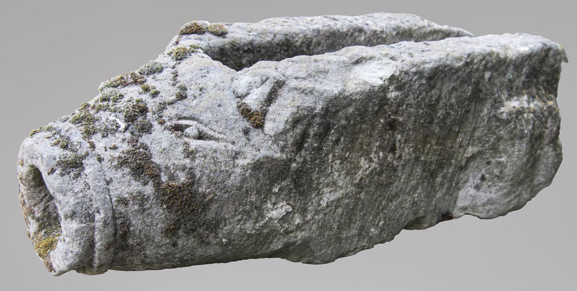 Wild boar's head, old stone gargoyle Wild boar's head, old stone gargoyle-0