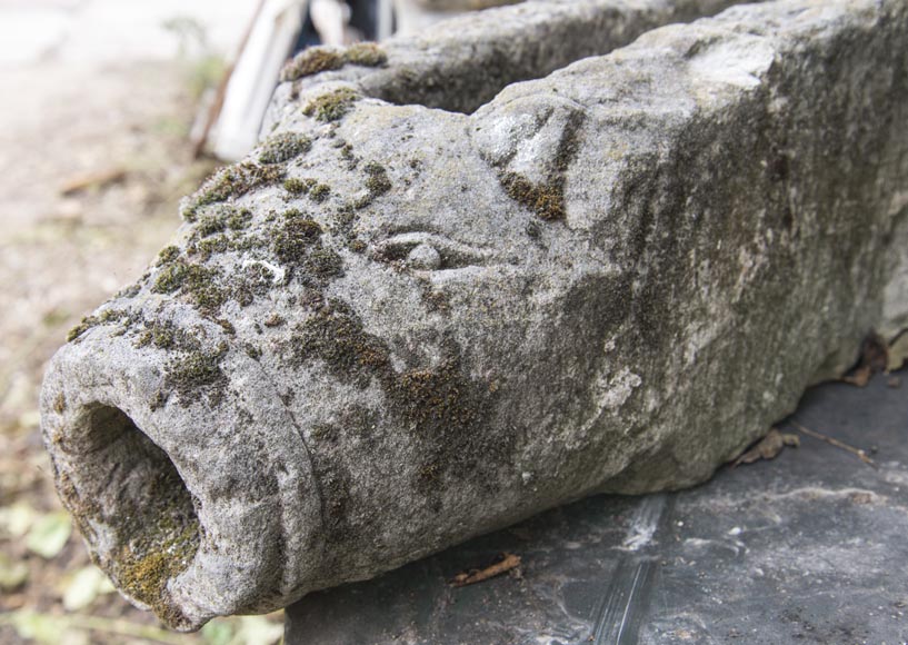 Wild boar's head, old stone gargoyle Wild boar's head, old stone gargoyle-1