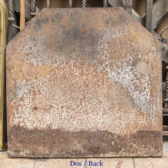 Cast iron fireback with the French coat of arms Cast iron fireback with the French coat of arms-5