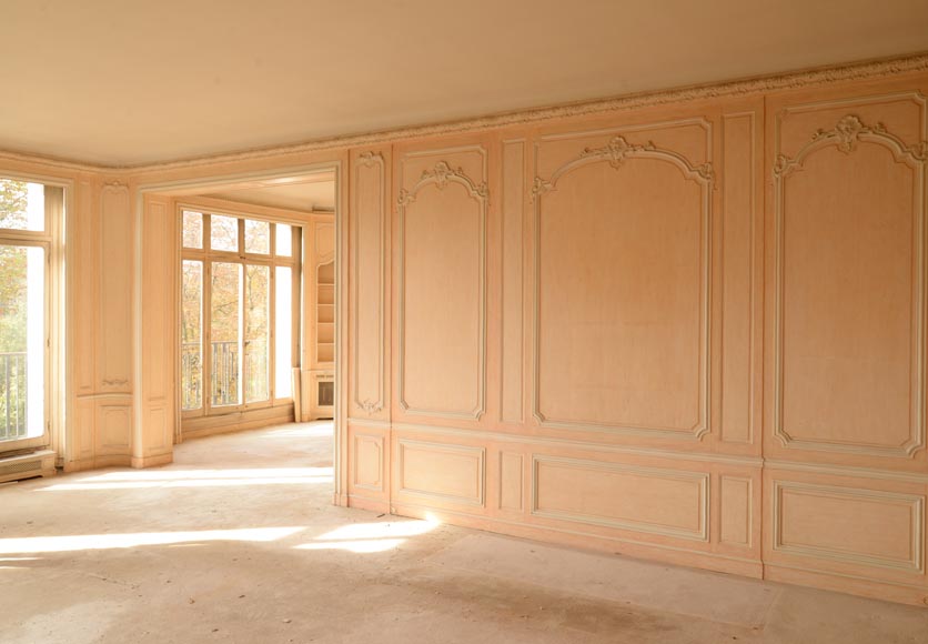 Two Louis XV style paneled rooms, end of the 19th century Two Louis XV style paneled rooms, end of the 19th century-13