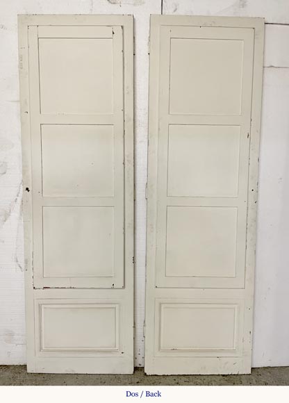 Pair of simple doors with a mirror on one side Pair of simple doors with a mirror on one side-5
