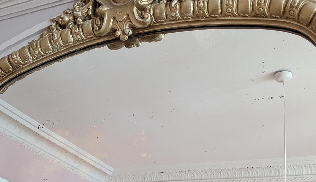 Regence style trumeau with a flowered cartouche Regence style trumeau with a flowered cartouche -3