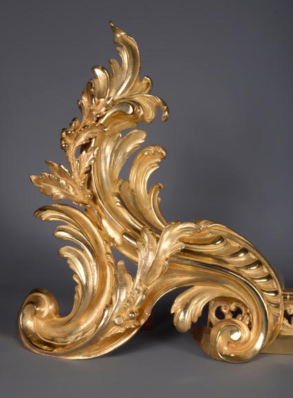 Large Louis XVI style firefender in gilt bronze Large Louis XVI style firefender in gilt bronze -2