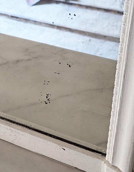 Louis XV style trumeau with large sunflower Louis XV style trumeau with large sunflower-6