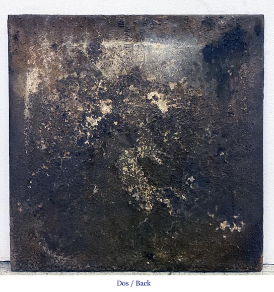 Royal fleur-de-lys fireback Royal fleur-de-lys fireback-5