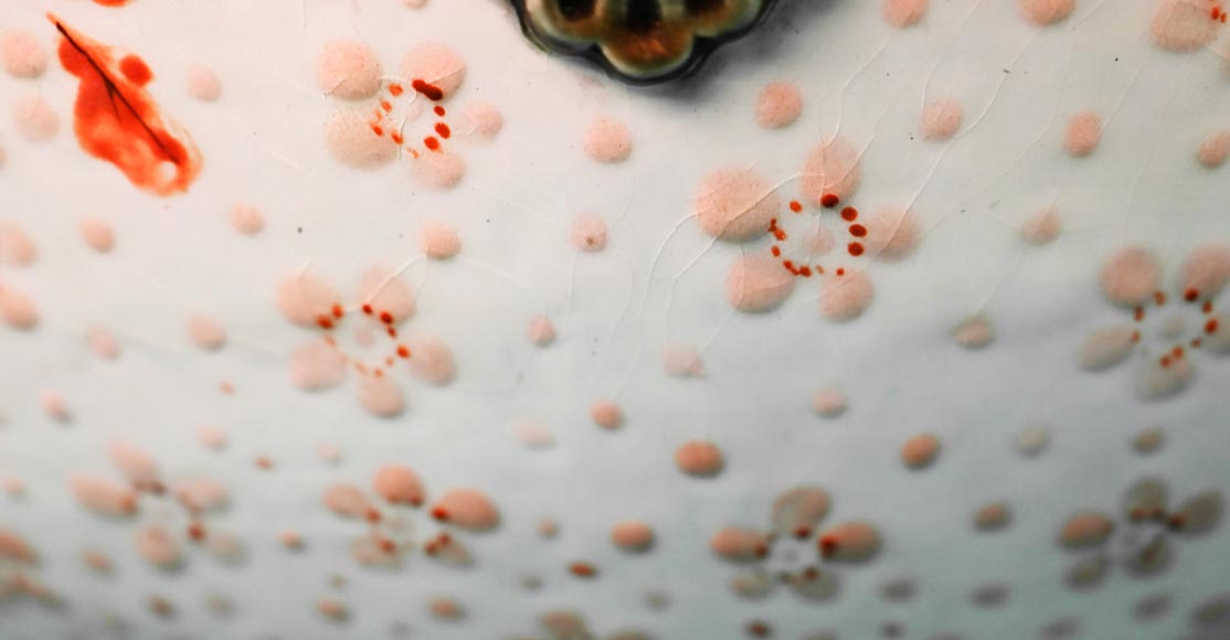 The Royal Macaw vase painted by Albert-Léon LEBARQUE and its original harness The Royal Macaw vase painted by Albert-Léon LEBARQUE and its original harness-10