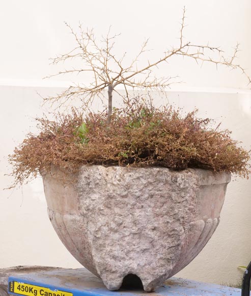 Wall fountain basin with lion head in marble Wall fountain basin with lion head in marble-5