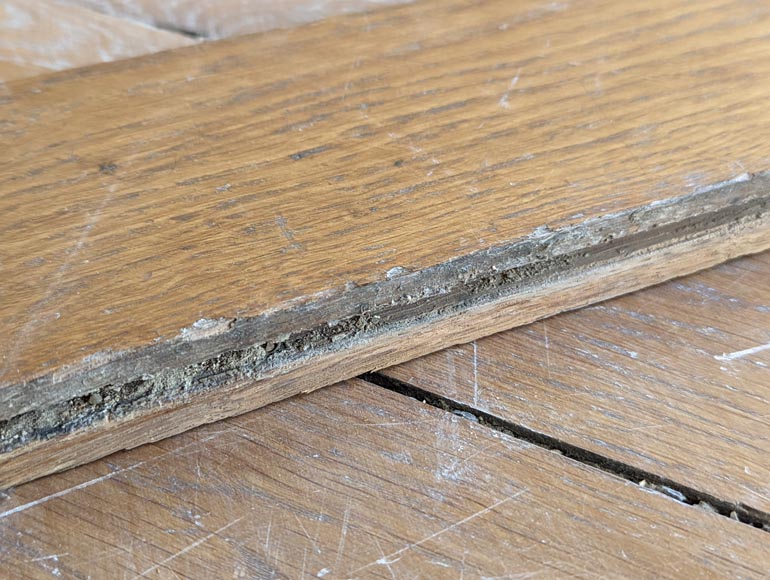 12 m² lot of Point de Hongrie parquet flooring 12 m² lot of Point de Hongrie parquet flooring-5