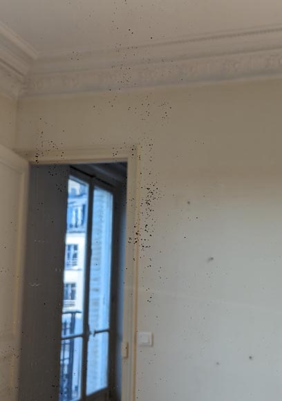 Napoleon III-style gilded trumeau with openwork shells Napoleon III-style gilded trumeau with openwork shells-8