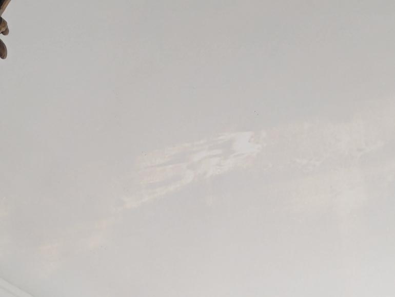 Napoleon III-style trumeau decorated with branches Napoleon III-style trumeau decorated with branches-7