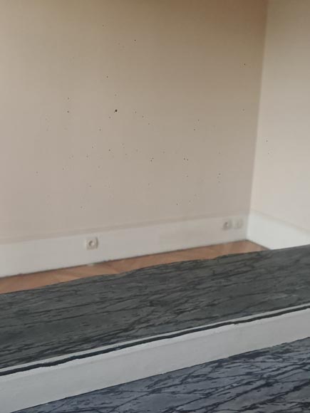 Regence style trumeau topped with a shell Regence style trumeau topped with a shell-6