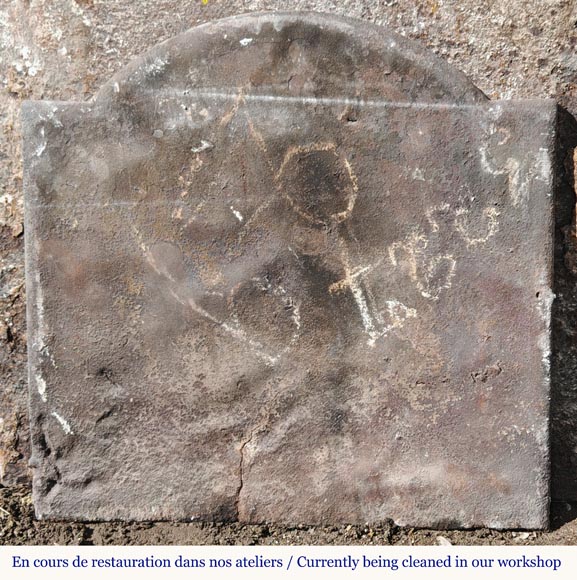 Cast iron fireback with water birds-4