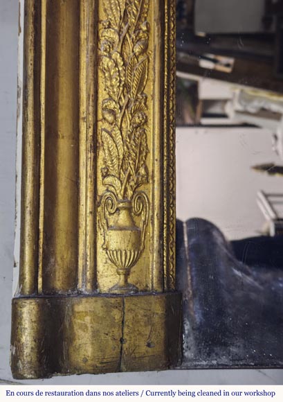 Restoration period trumeau with floral motif-4