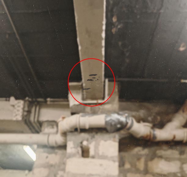 Gilded Louis XVI style trumeau with musical instruments Gilded Louis XVI style trumeau with musical instruments-8