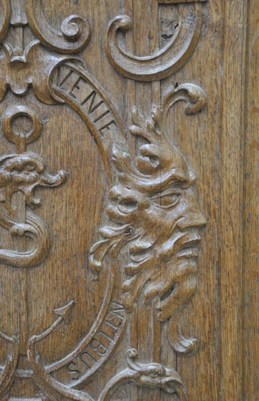 False pair of antique carved oak doors from the 19th century False pair of antique carved oak doors from the 19th century-2