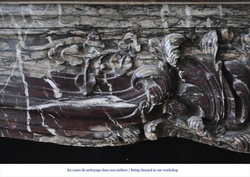 Beautiful antique Regence style fireplace in Campan Grand Melange marble, 19th c. Beautiful antique Regence style fireplace in Campan Grand Melange marble, 19th c.-3