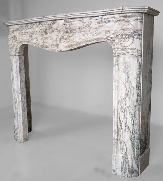 Louis XV style fireplace in Medici Breccia marble with a fleur-de-lys motif in acanthus leaves Louis XV style fireplace in Medici Breccia marble with a fleur-de-lys motif in acanthus leaves-8