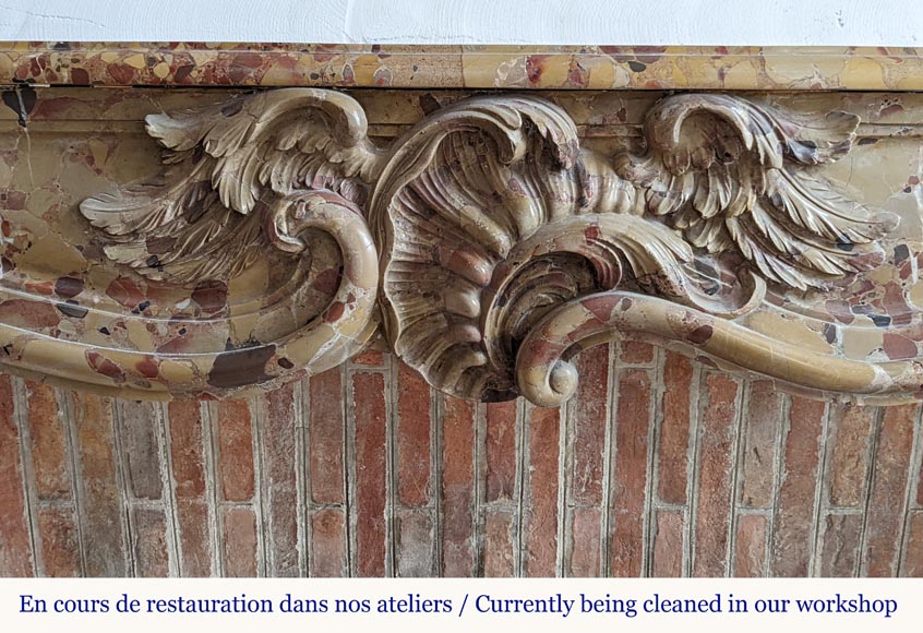 Louis XV period mantel in Alep Breccia with a winged shell Louis XV period mantel in Alep Breccia with a winged shell-1