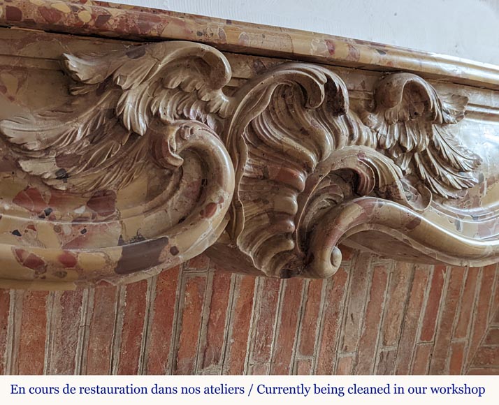 Louis XV period mantel in Alep Breccia with a winged shell Louis XV period mantel in Alep Breccia with a winged shell-3