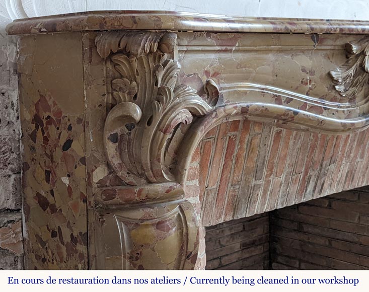 Louis XV period mantel in Alep Breccia with a winged shell Louis XV period mantel in Alep Breccia with a winged shell-5