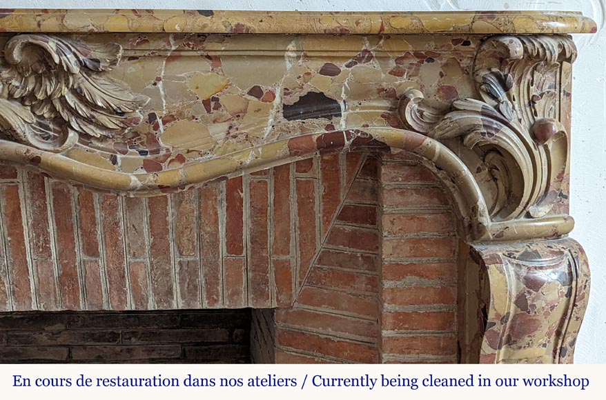 Louis XV period mantel in Alep Breccia with a winged shell Louis XV period mantel in Alep Breccia with a winged shell-9