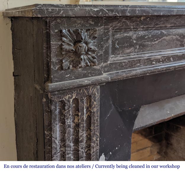Louis XVI period fireplace in Grey Sainte Anne marble Louis XVI period fireplace in Grey Sainte Anne marble-3