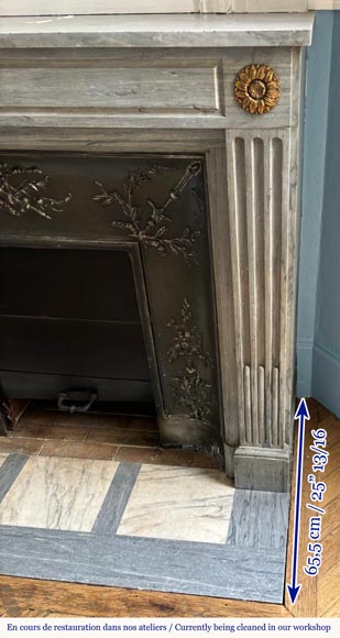Louis XVI style mantel in light blue Turquin marble decorated with bronze sunflowers Louis XVI style mantel in light blue Turquin marble decorated with bronze sunflowers-6