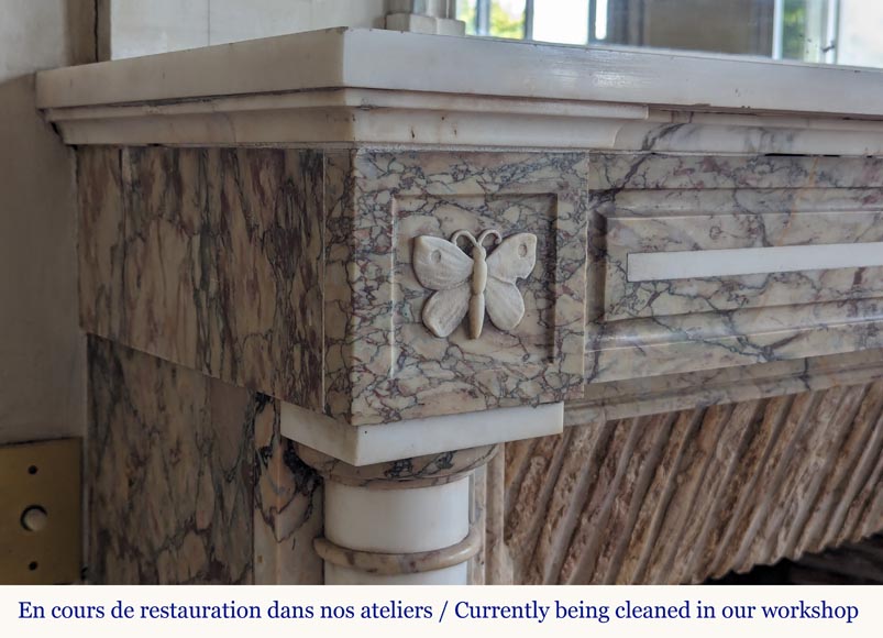 Two-tone Directoire style marble mantel decorated with butterflies Two-tone Directoire style marble mantel decorated with butterflies-3
