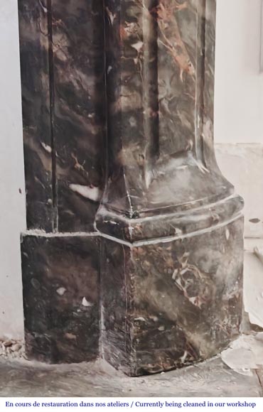 Louis XV style Pompadour model fireplace, in Bois Jourdan marble-7