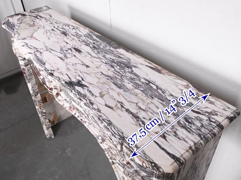 Regency style fireplace decorated with a palmette, in purple breccia marble Regency style fireplace decorated with a palmette, in purple breccia marble-9