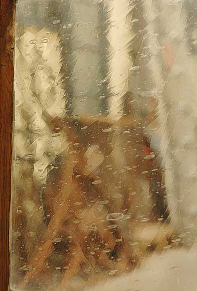 Stained glass with squirels Stained glass with squirels-8